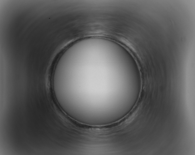 X0000089891458200706281101
