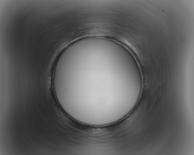 X0000089891459200706281101
