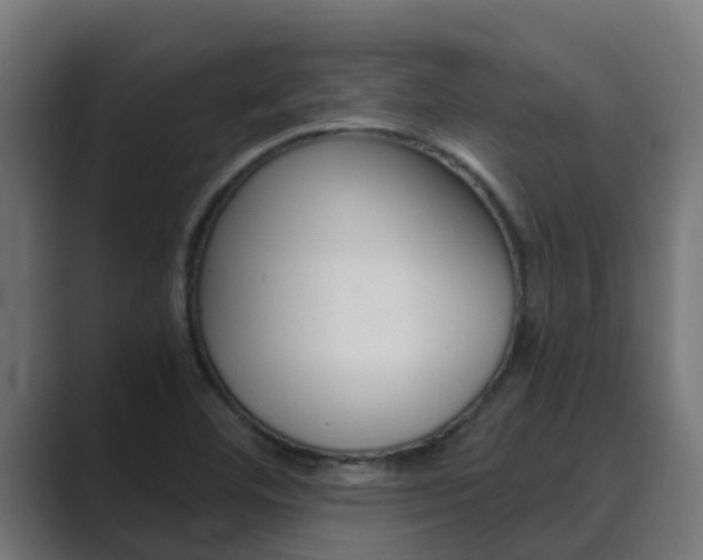 X0000089891460200706281101
