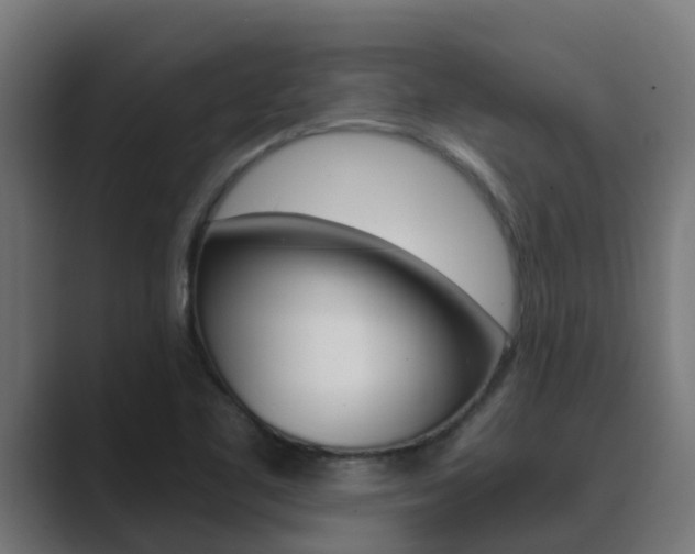 X0000089891461200706281101