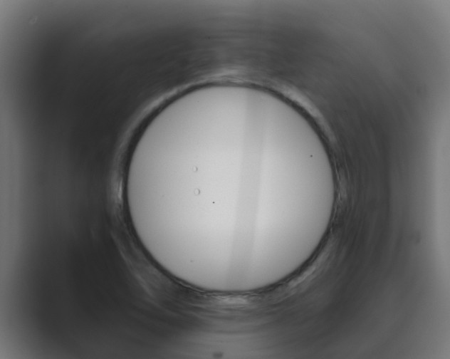 X0000089891462200706281101