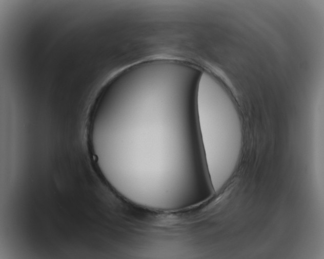 X0000089891463200706281101