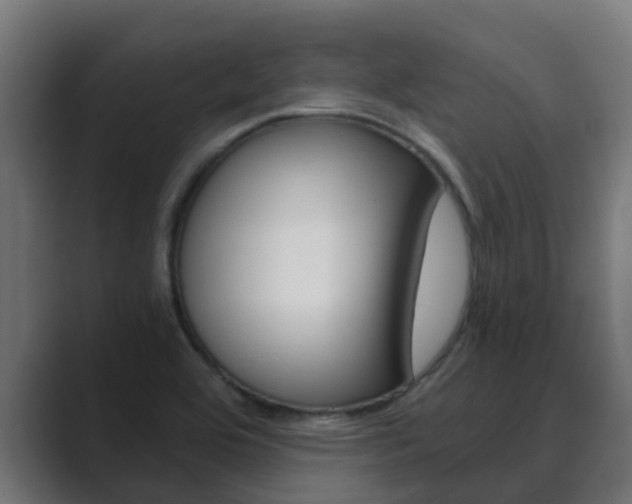 X0000089891464200706281101