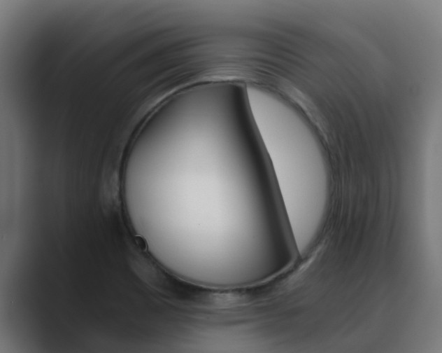 X0000089891465200706281101