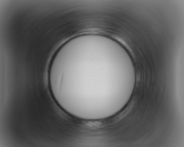 X0000089891466200706281101