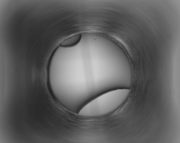 X0000089891467200706281101