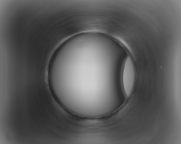 X0000089891468200706281101