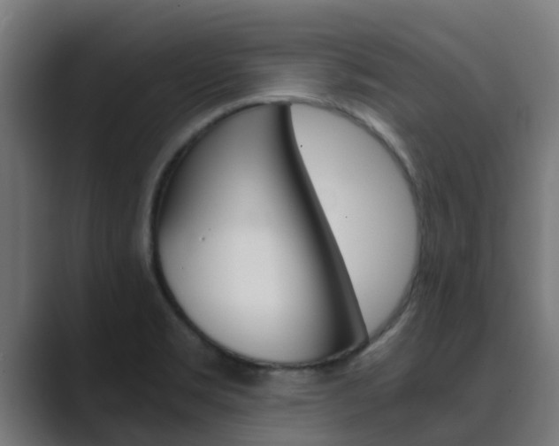 X0000089891469200706281101