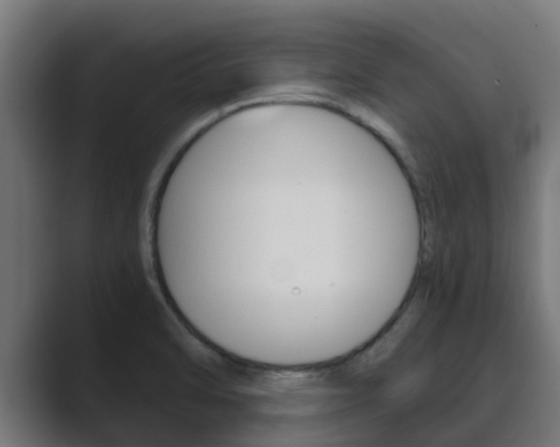X0000089891470200706281101