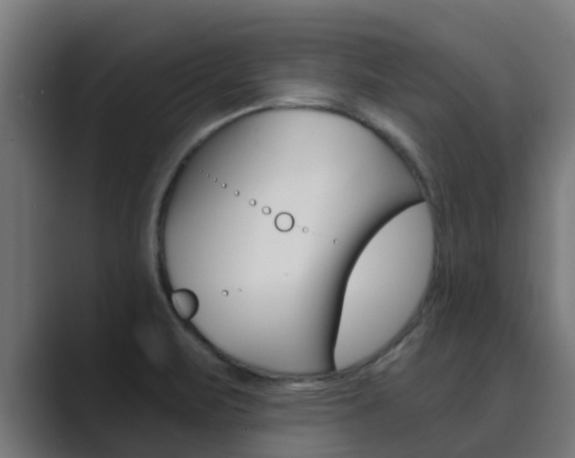 X0000089891471200706281101