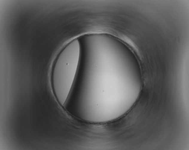 X0000089891472200706281101