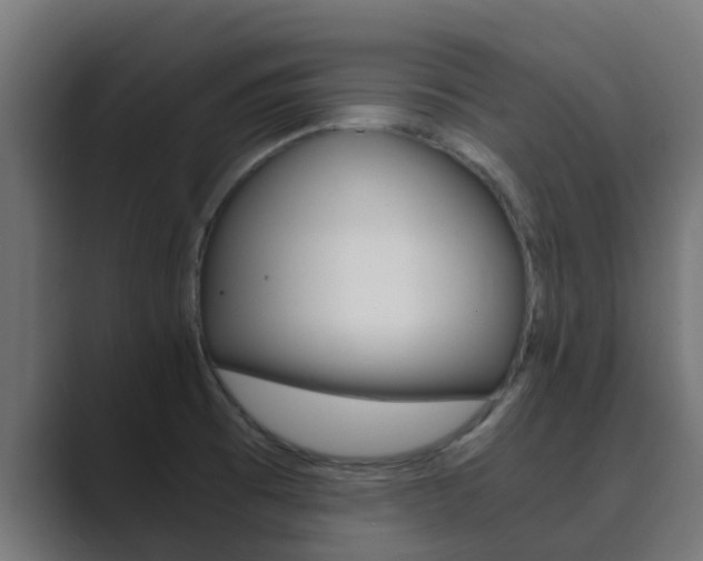 X0000089891473200706281101