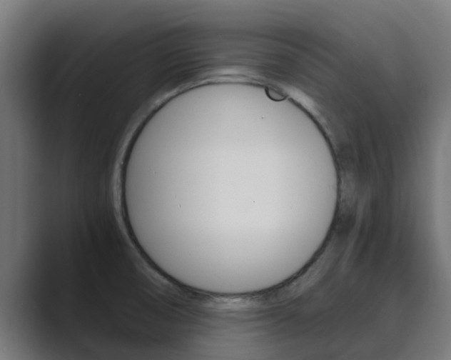 X0000089891474200706281101