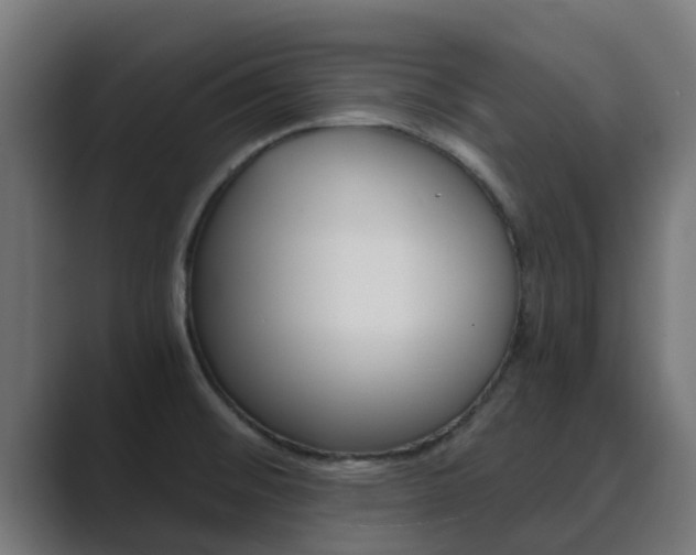 X0000089891476200706281100
