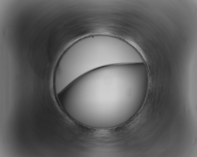 X0000089891477200706281100