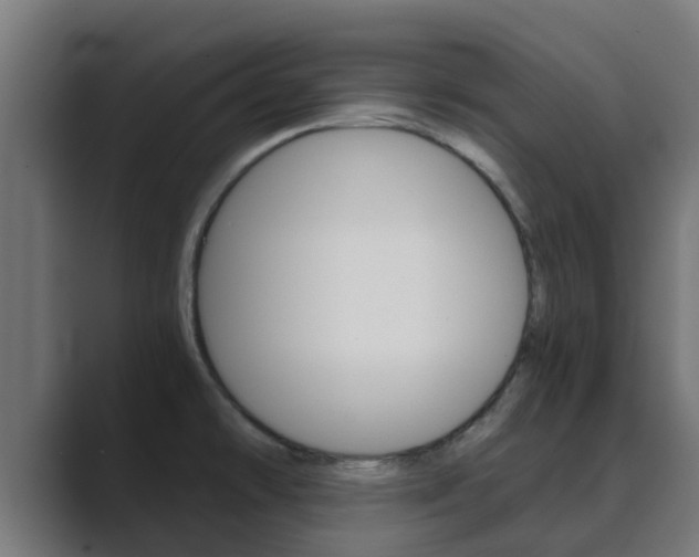 X0000089891478200706281100