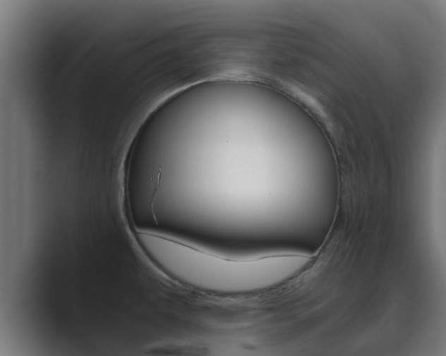X0000089891479200706281100