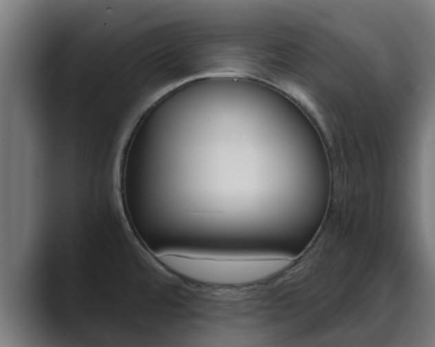X0000089891480200706281100