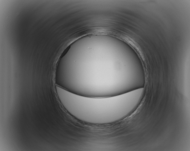 X0000089891481200706281100