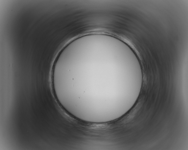 X0000089891482200706281100