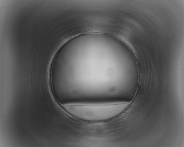 X0000089891483200706281100