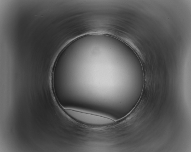 X0000089891484200706281100