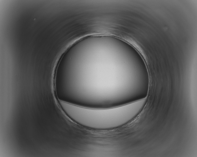 X0000089891485200706281100