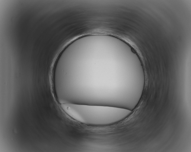 X0000089891486200706281100