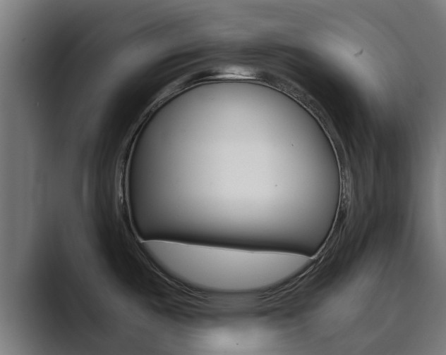 X0000089891487200706281100