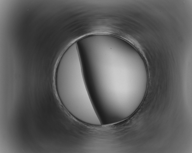 X0000089891488200706281100