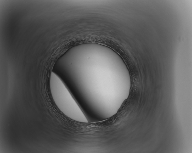 X0000089891489200706281100