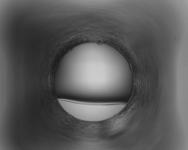 X0000089891490200706281100
