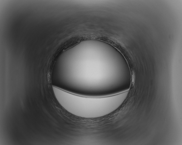 X0000089891492200706281100