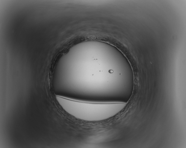 X0000089891493200706281100