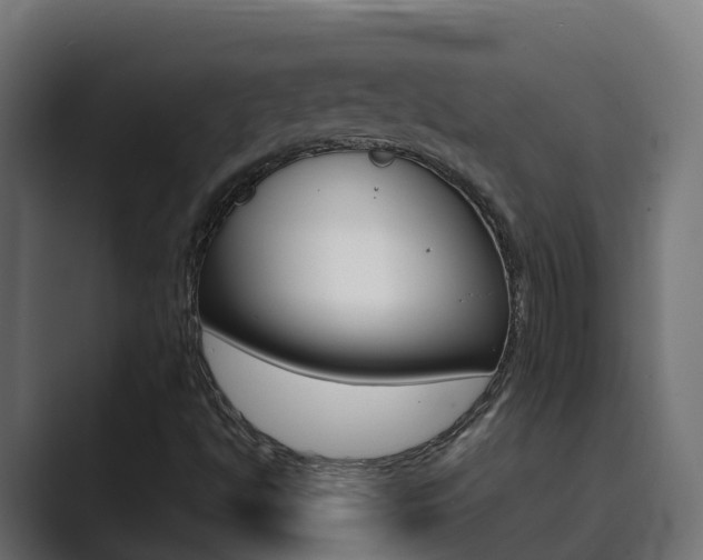 X0000089891494200706281100