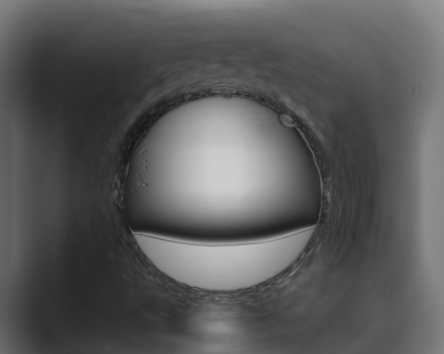 X0000089891495200706281100