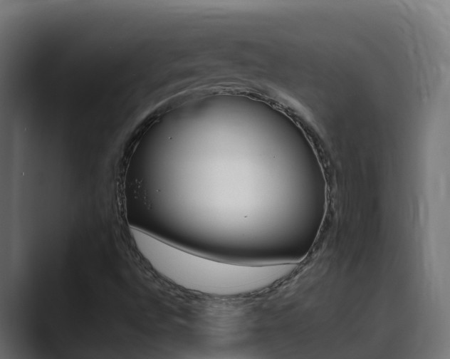 X0000089891496200706281100