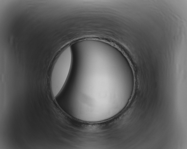 X0000089891497200706281100
