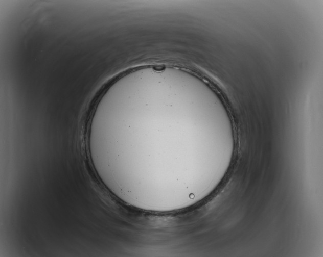 X0000089891498200706281100