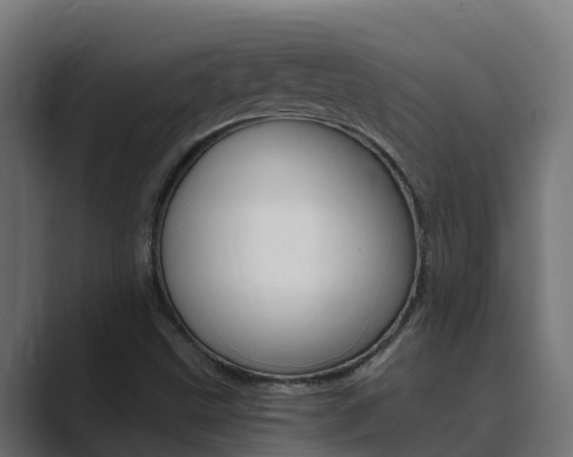 X0000089891499200706281100
