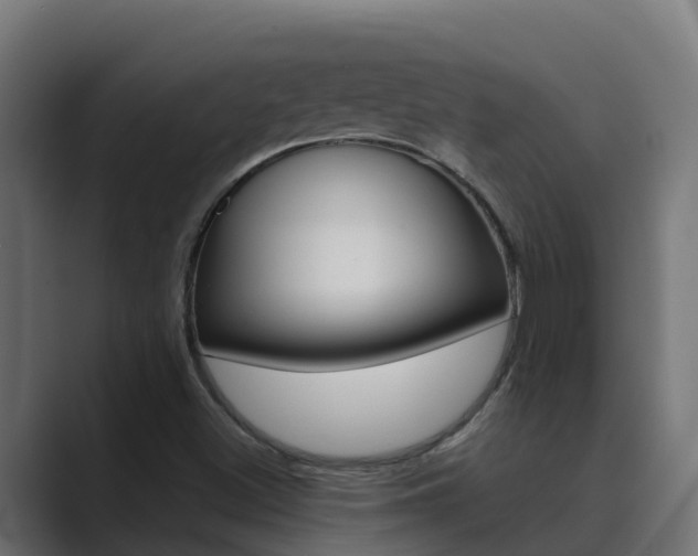X0000089891500200706281100