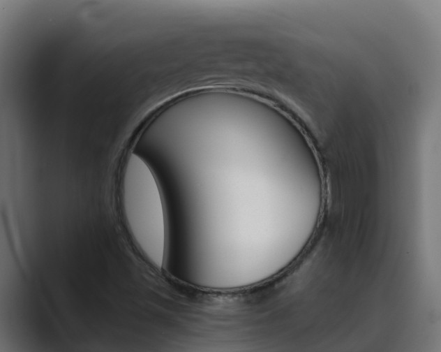 X0000089891501200706281100