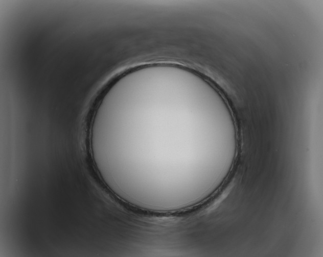 X0000089891502200706281100