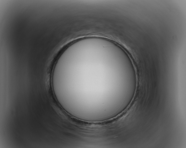 X0000089891503200706281100