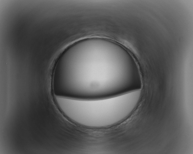 X0000089891504200706281100