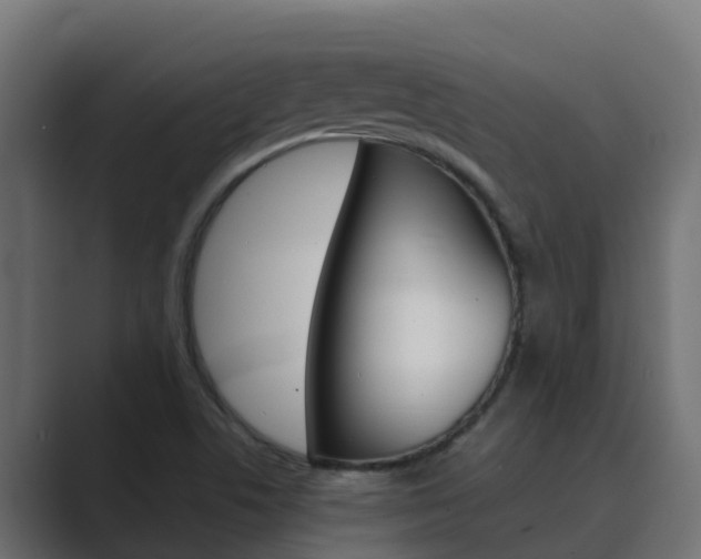 X0000089891506200706281100