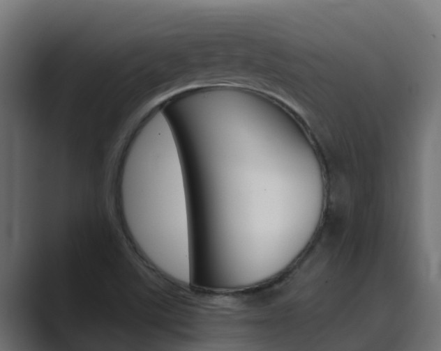 X0000089891507200706281100