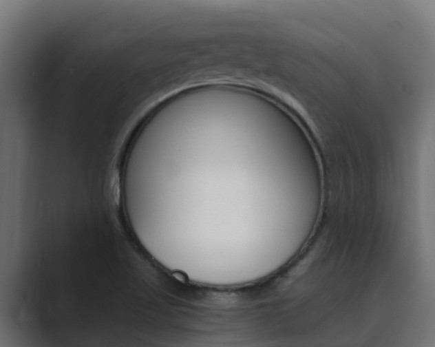 X0000089891509200706281100