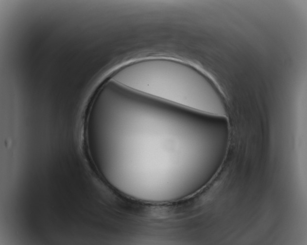 X0000089891511200706281100