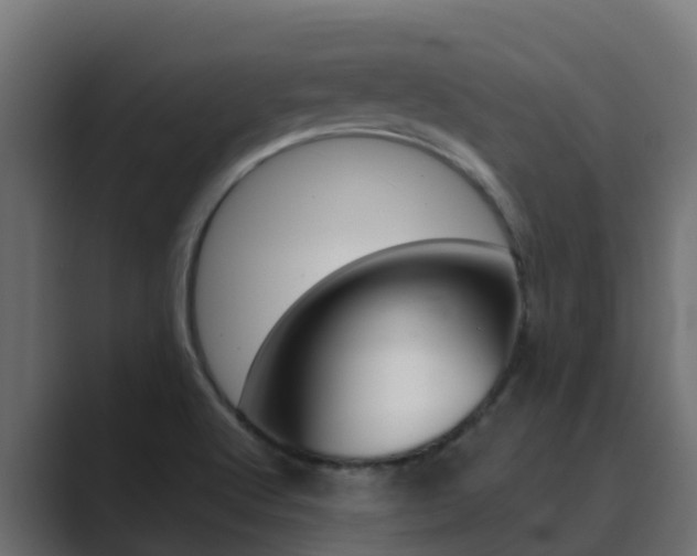X0000089891512200706281100